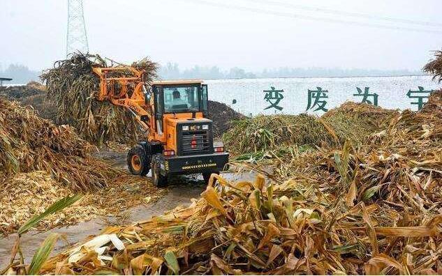 黑土地上的‘秸稈經(jīng)紀(jì)人’要讓秸稈牛起來，變成‘寶’