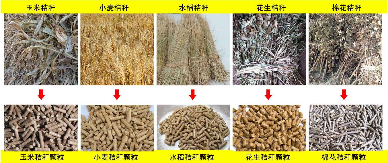 玉米秸稈、小麥秸稈等原材料